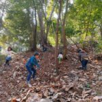 3月29日　ネイチャーガイドツアー　親子で春の里山を愉しもう　～修善寺・自然環境教育プログラム～