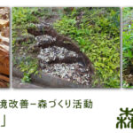 5月15日　「階段づくり」～里山環境改善　森づくり活動
