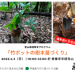 4月3日（日）「竹ポットで樹木苗づくり」