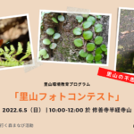 ６月5日（日）「里山フォトコンテスト」