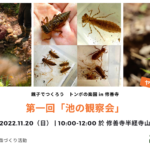 2022年11月20日（日）「池の観察会 ～ 第一回 親子でつくろう トンボの楽園 in 修善寺」ご案内