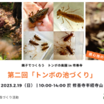 2023年2月19日（日）「トンボの池づくり ～ 第二回 親子でつくろう トンボの楽園 in 修善寺」ご案内