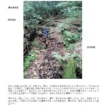 2024年2月18日「里山の環境学習：トンボ・ビオトープ ～ 池づくりと沢の整え」ご案内