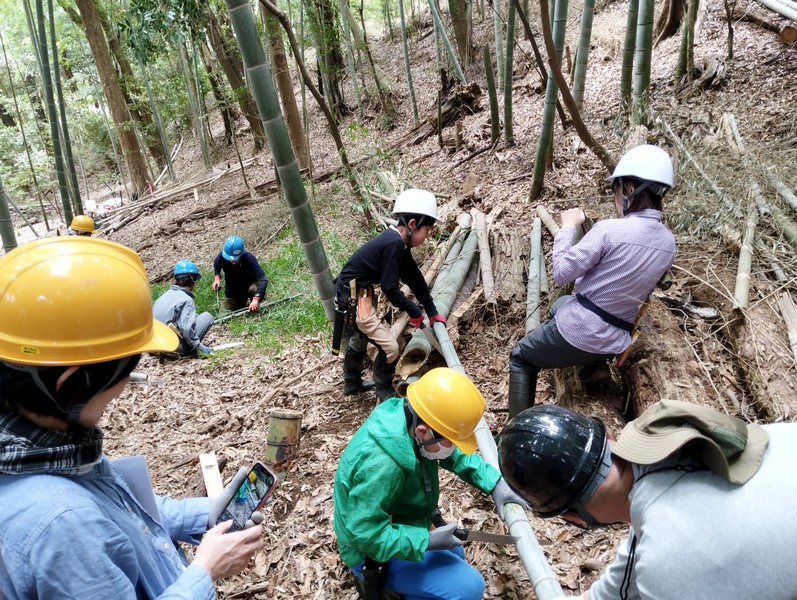 里山の環境学習～トンボ・ビオトープづくり（2023年度第二回）「竹の間伐とタケノコ掘り」レポート