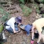 2024年9月29日里山の環境学習～トンボビオトープ～「成果観察会」レポート