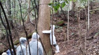 里山の環境改善講座「里山ガイドウォーク」レポート ～ トンボ・ビオトープ【3年目】第四回