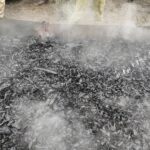 2025年度「真如苑 環境保全・生物保護 市民活動助成」に採択されました 2025年度「真如苑 環境保全・生物保護 市民活動助成」に採択されました