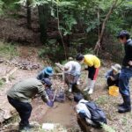 里山の環境改善講座「成果観察会」レポート ～ トンボ・ビオトープ【3年目】第十回