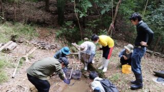 里山の環境改善講座「成果観察会」レポート ～ トンボ・ビオトープ【3年目】第十回