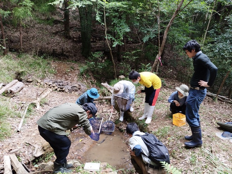 里山の環境改善講座「成果観察会」レポート ～ トンボ・ビオトープ【3年目】第十回