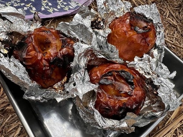 2/22 竹炭づくりイベント開催レポート：早咲きの桜咲く春の陽気の中、焼きリンゴとパンケーキの一日