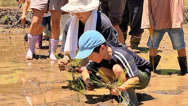 6/21 黒米の田植え〜冬水田んぼキックオフイベント開催レポート：復田した田んぼに黒米を植える